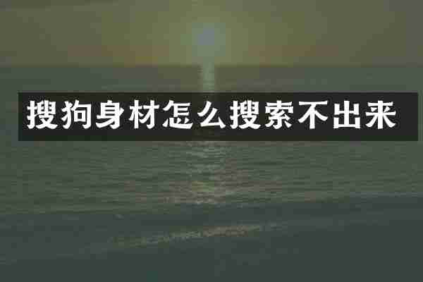 搜狗身材怎么搜索不出来