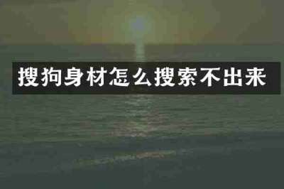 搜狗身材怎么搜索不出来