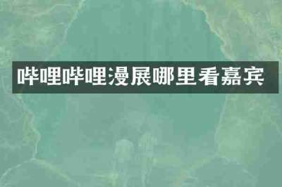 哔哩哔哩漫展哪里看嘉宾