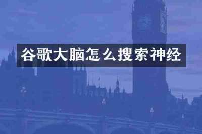 谷歌大脑怎么搜索神经