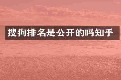 搜狗排名是公开的吗知乎