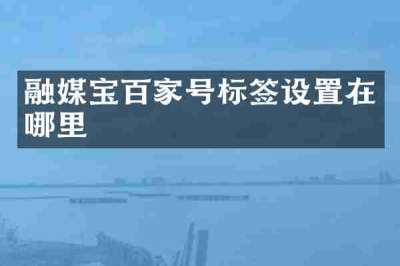 融媒宝百家号标签设置在哪里