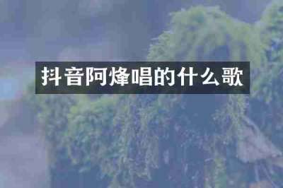 抖音阿烽唱的什么歌