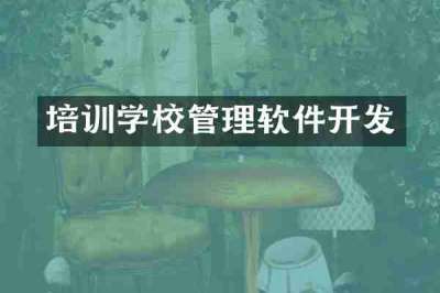 培训学校管理软件开发