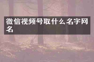 微信视频号取什么名字网名