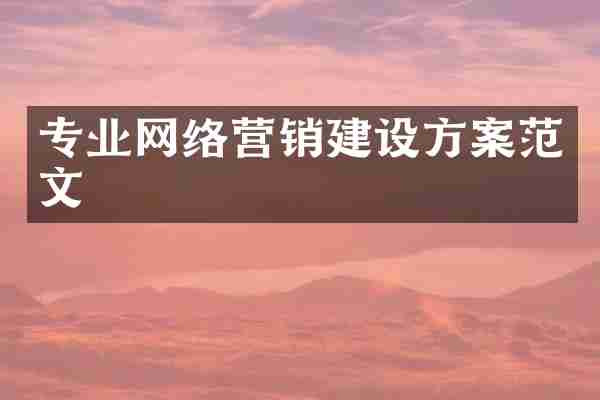专业网络营销建设方案范文