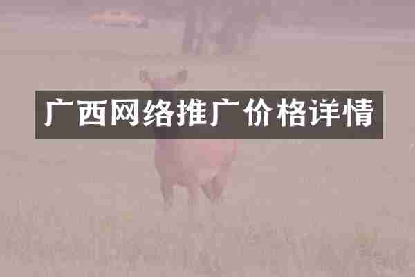 广西网络推广价格详情