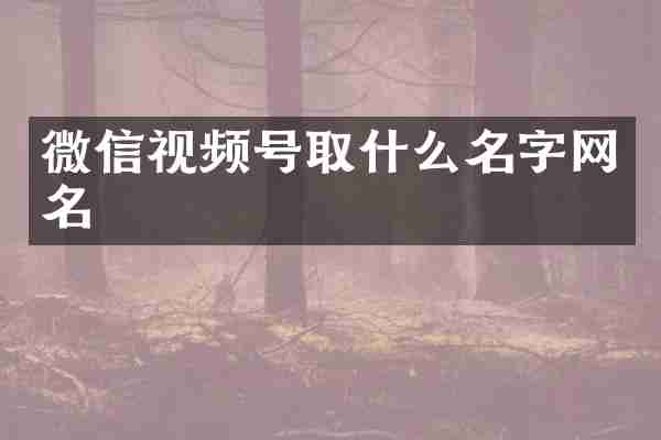 微信视频号取什么名字网名