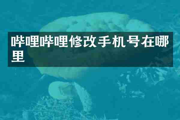 哔哩哔哩修号在哪里