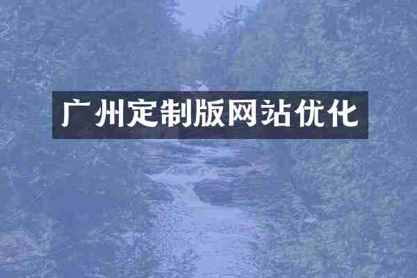 广州定制版网站优化