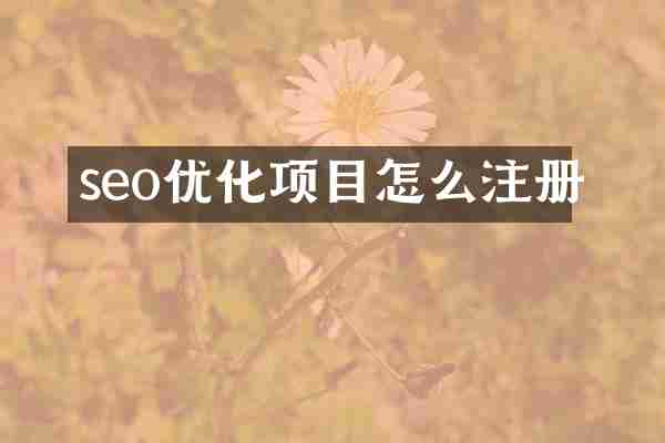 seo优化项目怎么注册