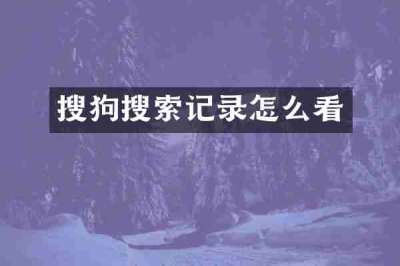 搜狗搜索记录怎么看