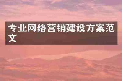 专业网络营销建设方案范文