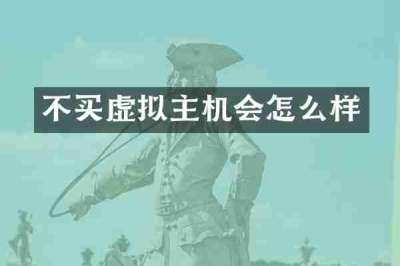 不买虚拟主机会怎么样