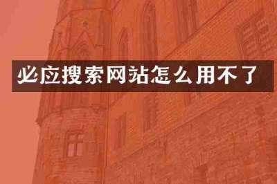 必应搜索网站怎么用不了
