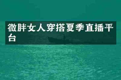 微胖女人穿搭夏季直播平台