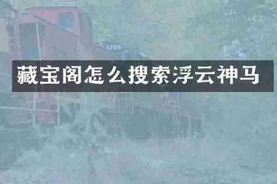 藏宝阁怎么搜索浮云神马