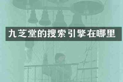 九芝堂的搜索引擎在哪里