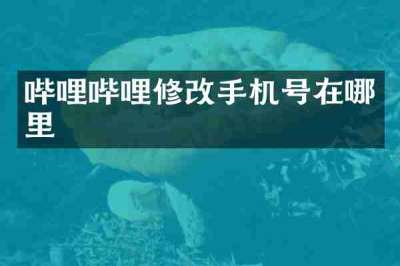 哔哩哔哩修改手机号在哪里