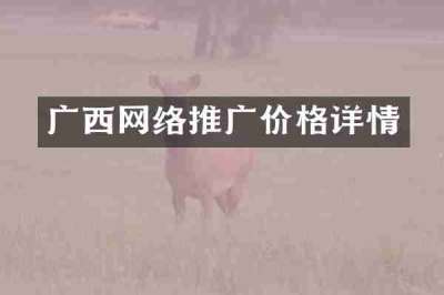 广西网络推广价格详情