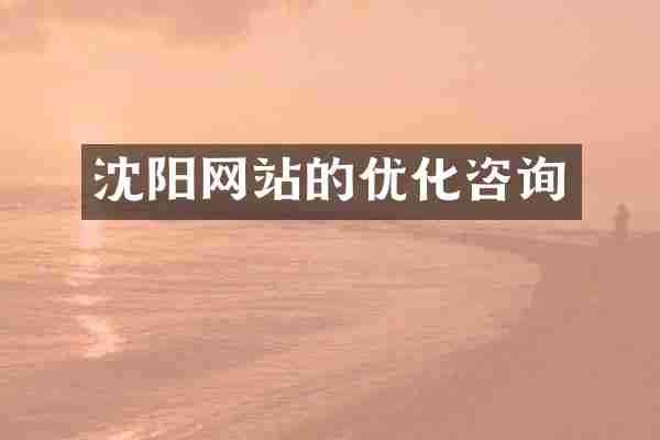 沈阳网站的优化咨询