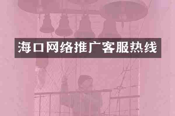 海口网络推广客服热线