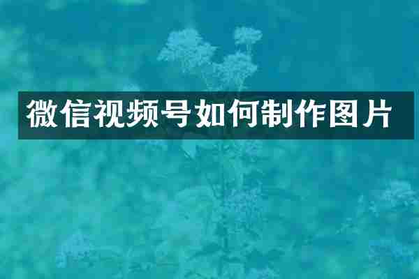 微信视频号如何制作图片