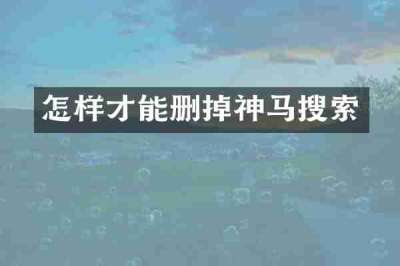 怎样才能删掉神马搜索