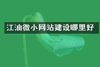 江油微小网站建设哪里好