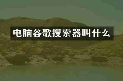 电脑谷歌搜索器叫什么