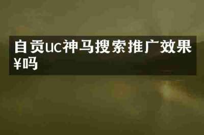 自贡uc神马搜索推广效果好吗