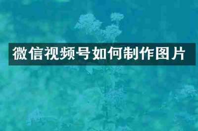 微信视频号如何制作图片