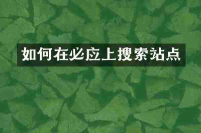 如何在必应上搜索站点