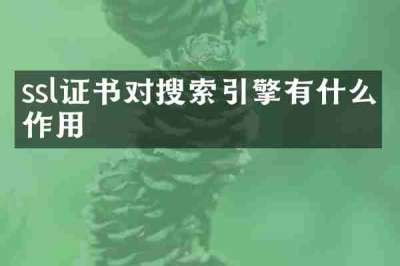 ssl证书对搜索引擎有什么作用
