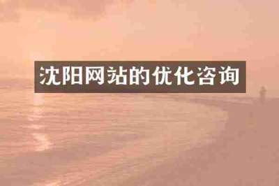 沈阳网站的优化咨询