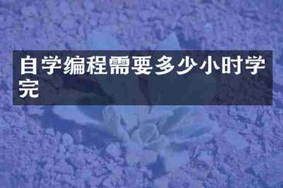 自学编程需要多少小时学完