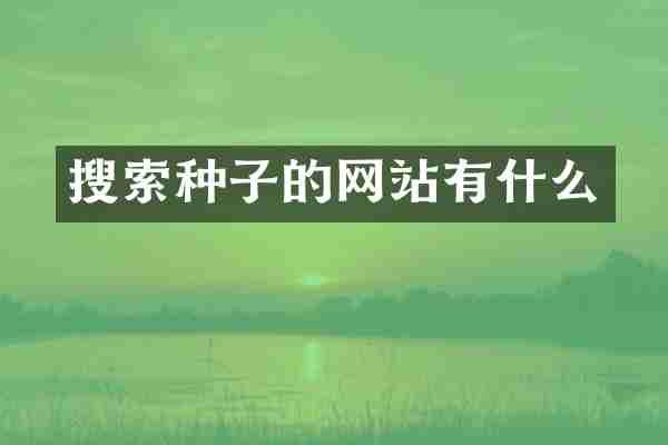 搜索种子的网站有什么