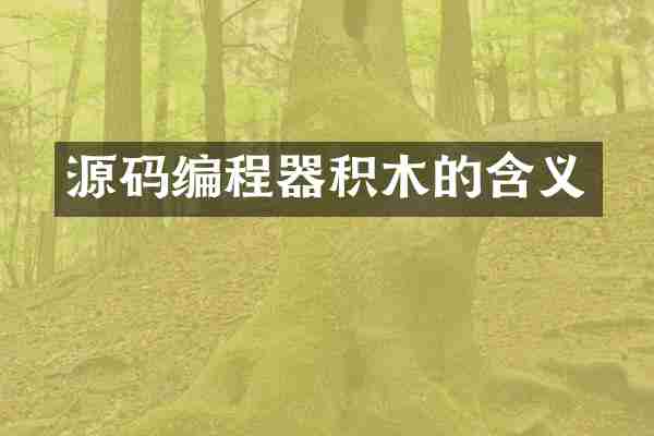 源码编程器积木的含义