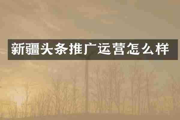 新疆头条推广运营怎么样