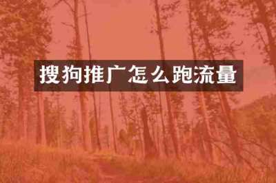 搜狗推广怎么跑流量