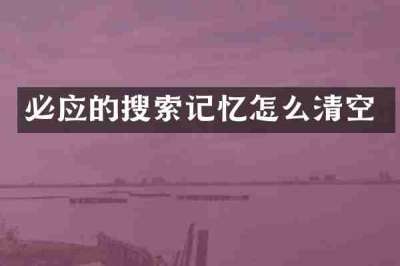 必应的搜索记忆怎么清空