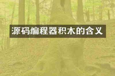 源码编程器积木的含义