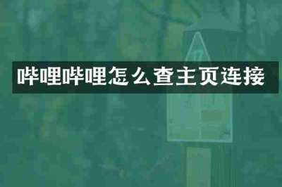 哔哩哔哩怎么查主页连接