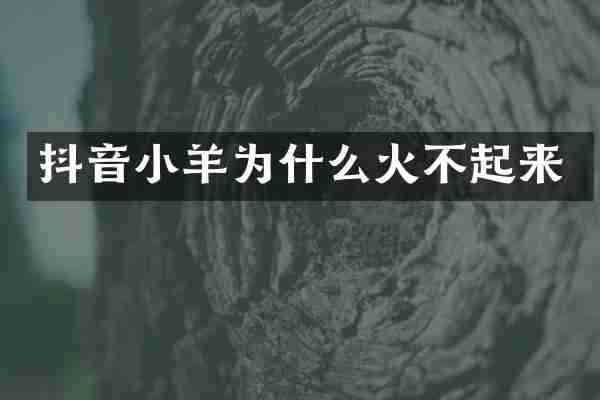 抖音小羊为什么火不起来