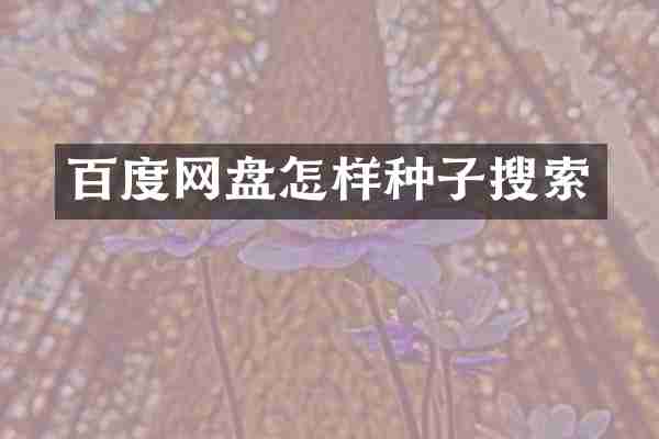 百度网盘怎样种子搜索