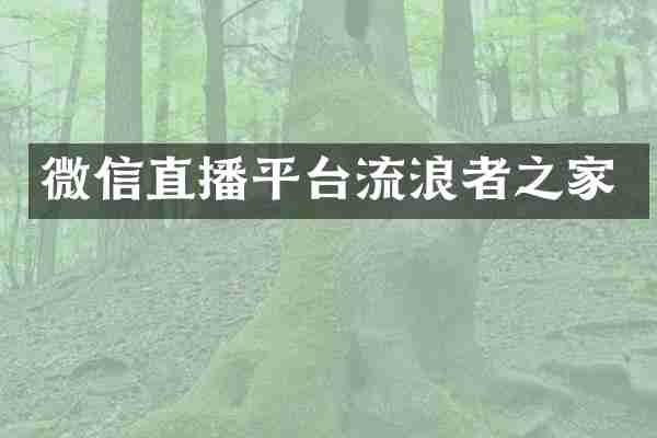 微信直播平台流浪者之家