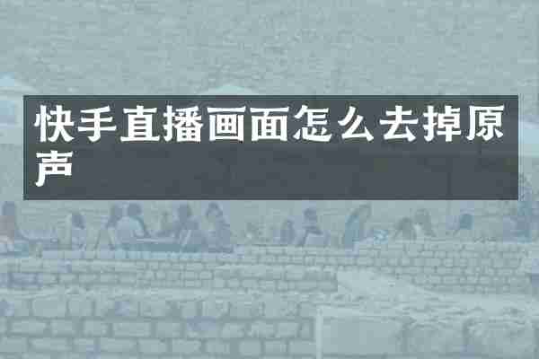 快手直播画面怎么去掉原声