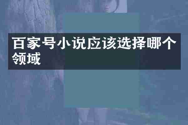 百家号小说应该选择哪个领域