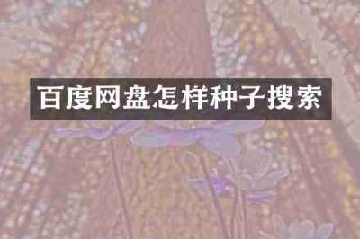 百度网盘怎样种子搜索
