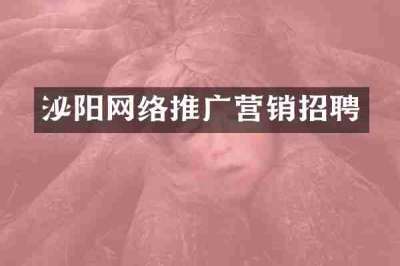 泌阳网络推广营销招聘